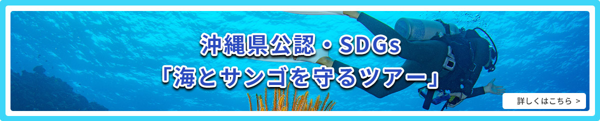 沖縄県公認・SDGs「海とサンゴを守るツアー」